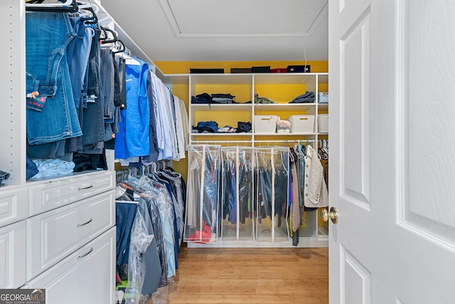 walk in closet featuring light wood-style floors