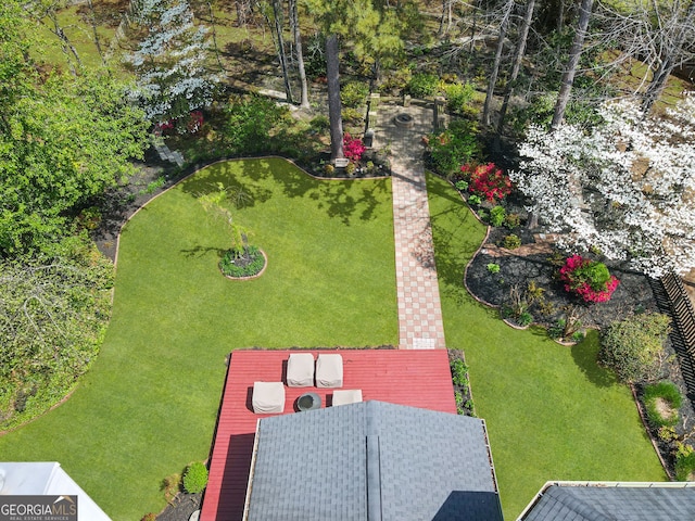 bird's eye view