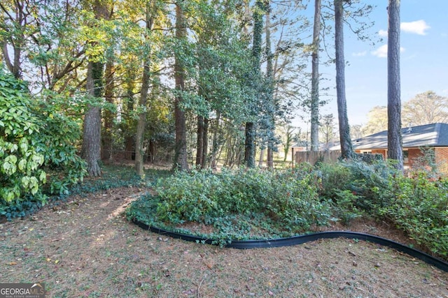 121 Hillsdale Dr SE, Atlanta, GA 30315 - view of yard