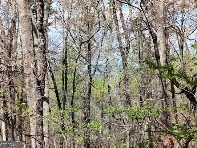 view of landscape with a wooded view