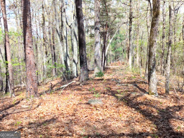 view of landscape featuring a wooded view
