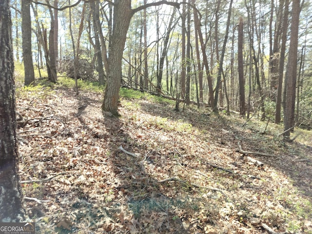view of landscape featuring a wooded view