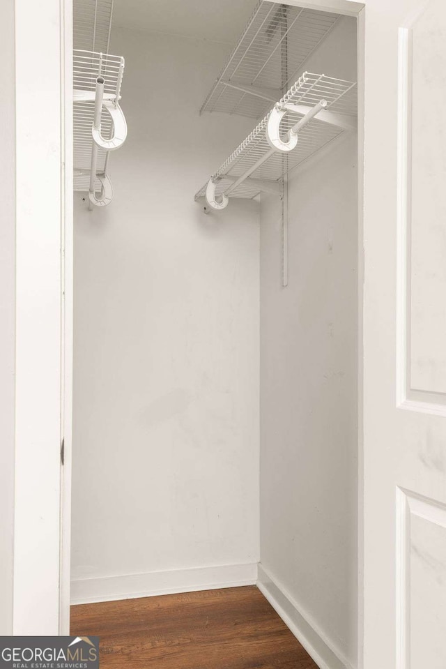 spacious closet featuring dark wood-type flooring