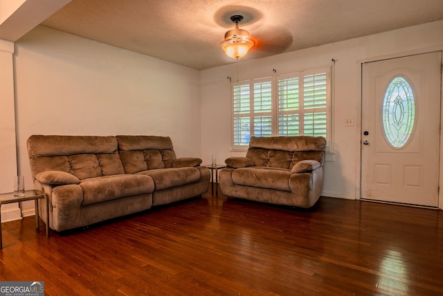 210 Briarwood Dr, Dallas, GA 30132 - living room featuring hardwood / wood-style flooring, healthy amount of natural light, a ceiling fan, baseboards, and a textured ceiling