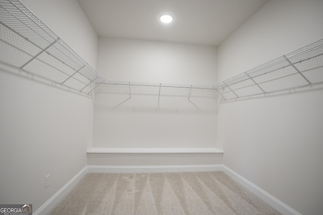 8 Hardin Ct Lot 16, Newnan, GA 30263 - walk in closet with carpet