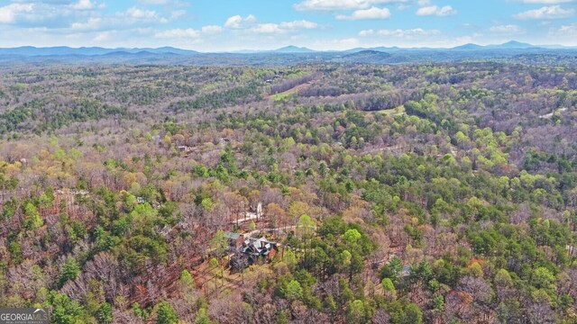 221 Laurel Cir, Dahlonega, GA 30533 - drone / aerial view featuring a mountain view and a view of trees