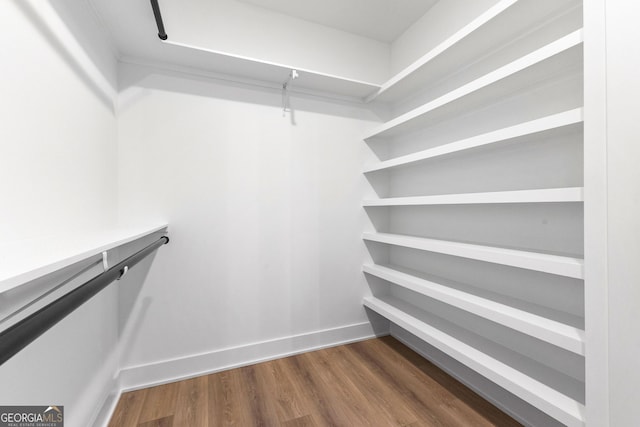 walk in closet with dark wood finished floors