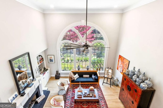 living area featuring baseboards, ceiling fan, wood finished floors, and ornamental molding