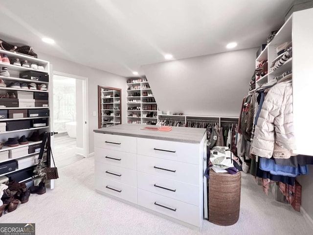 spacious closet with light carpet