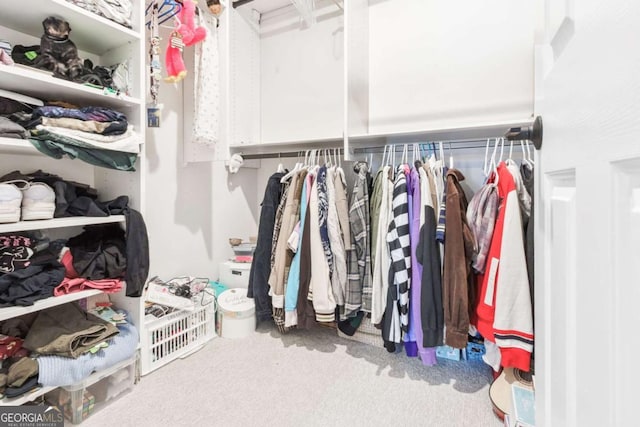 spacious closet with carpet