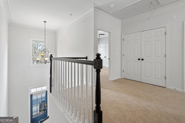 hall featuring an upstairs landing, a chandelier, crown molding, carpet, and attic access