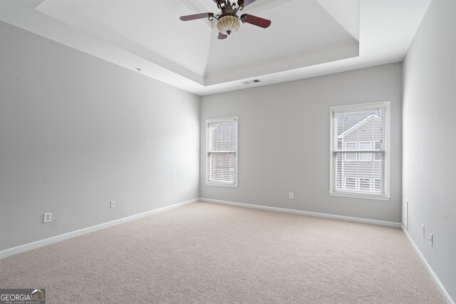 spare room with baseboards, carpet flooring, a wealth of natural light, and a raised ceiling