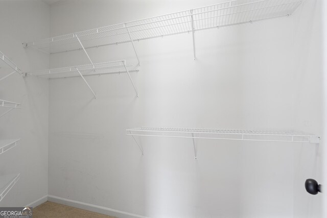 view of spacious closet