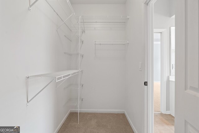 walk in closet featuring light colored carpet