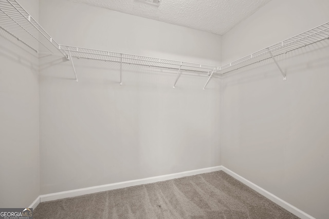 60 Charlotte Blvd, Stockbridge, GA 30281 - walk in closet with carpet floors