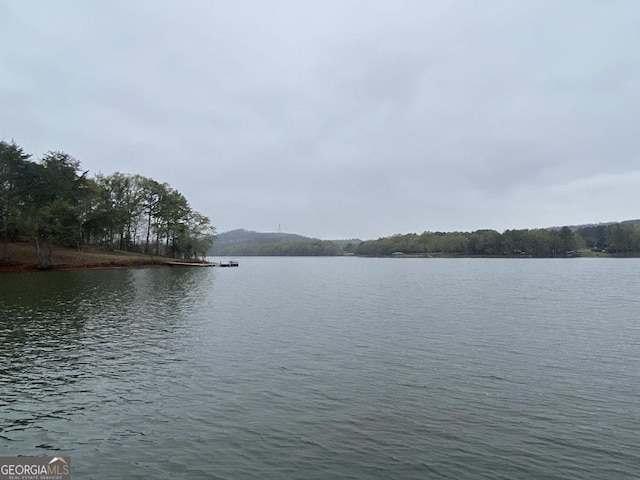 364 Cardinal Ln, Toccoa, GA 30577 - water view