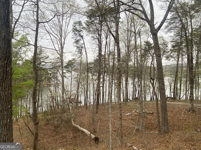 364 Cardinal Ln, Toccoa, GA 30577 - water view