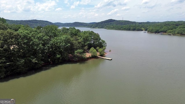 364 Cardinal Ln, Toccoa, GA 30577 - water view featuring a forest