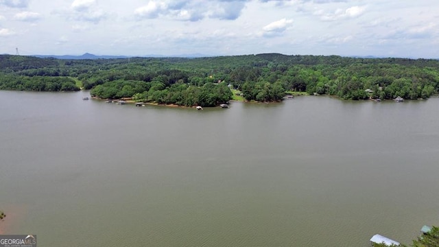 364 Cardinal Ln, Toccoa, GA 30577 - drone / aerial view of a forest and a nearby body of water