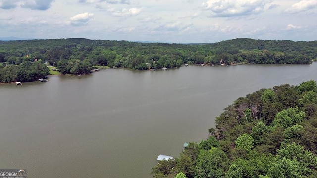 364 Cardinal Ln, Toccoa, GA 30577 - bird's eye view of a forest and a large body of water