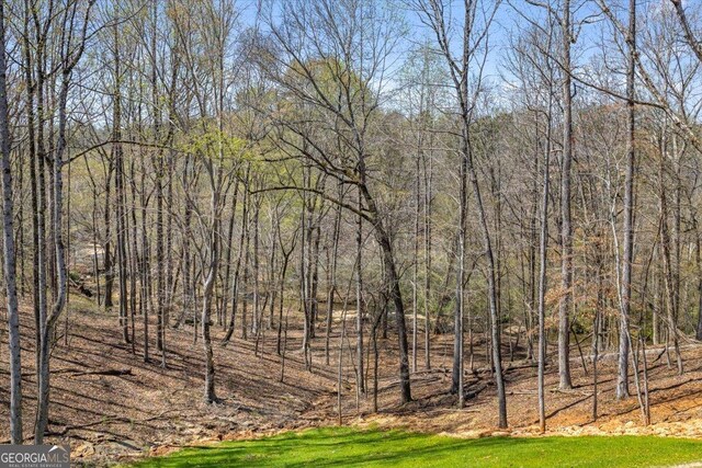 100 Forest Pl, Forsyth, GA 31029 - view of yard with a wooded view