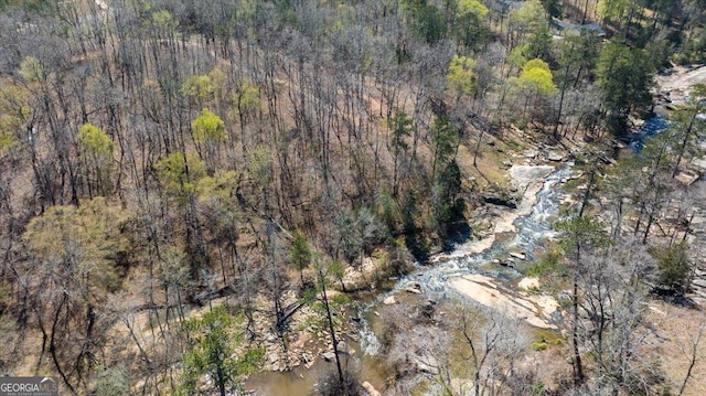 100 Forest Pl, Forsyth, GA 31029 - view of property location with a heavily wooded area