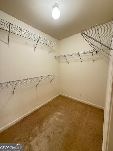 walk in closet featuring carpet floors