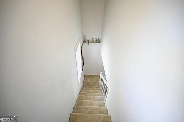 staircase with carpet flooring