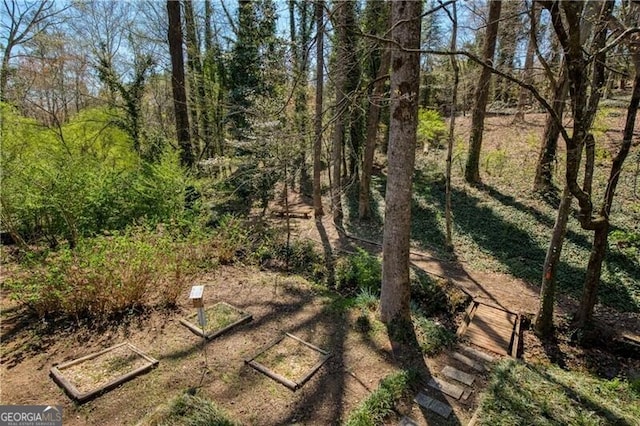 view of local wilderness