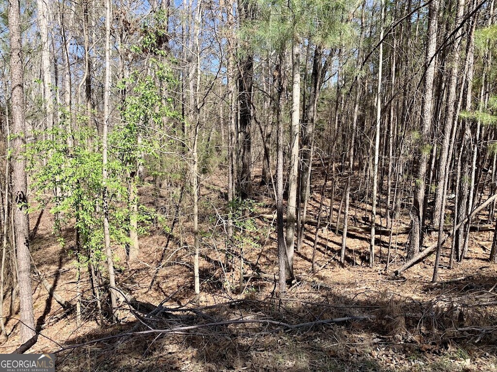 888 Melody Pt, Hartwell, GA 30643