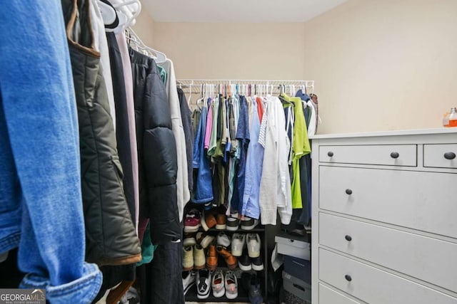 view of walk in closet