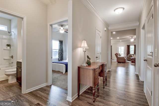 32 October Ave, Newnan, GA 30265 - hall with crown molding, dark wood-style floors, and baseboards