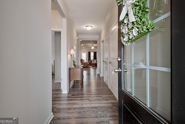 32 October Ave, Newnan, GA 30265 - hallway with dark wood finished floors, ornamental molding, and baseboards
