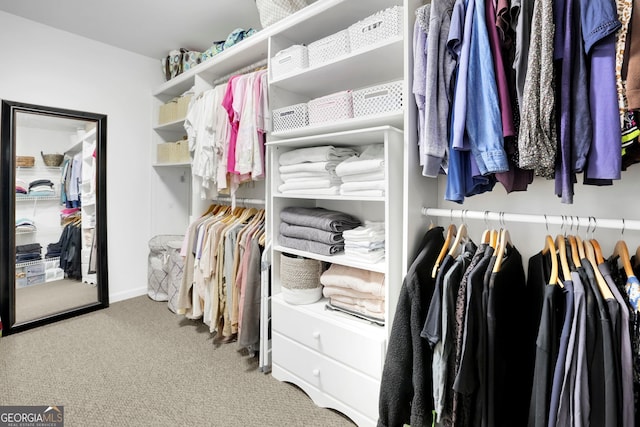 walk in closet featuring carpet floors