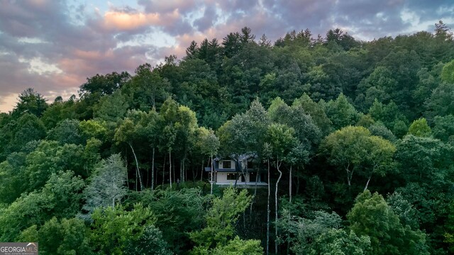 aerial view at dusk with a view of trees