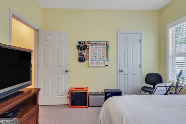 bedroom featuring carpet
