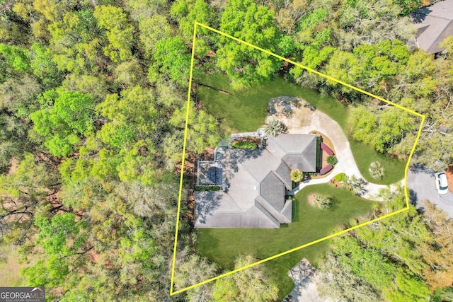 drone / aerial view