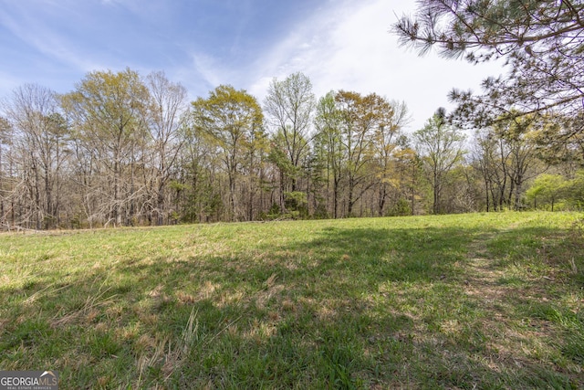 207 County Road 561, Woodland, AL 36280 - view of yard