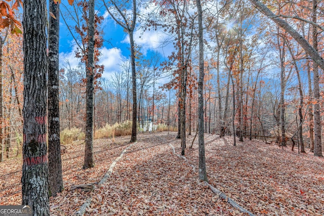 view of yard featuring a forest view