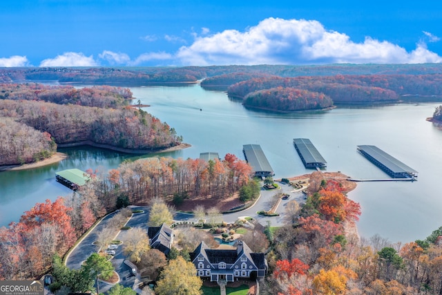 drone / aerial view featuring a water view and a forest view