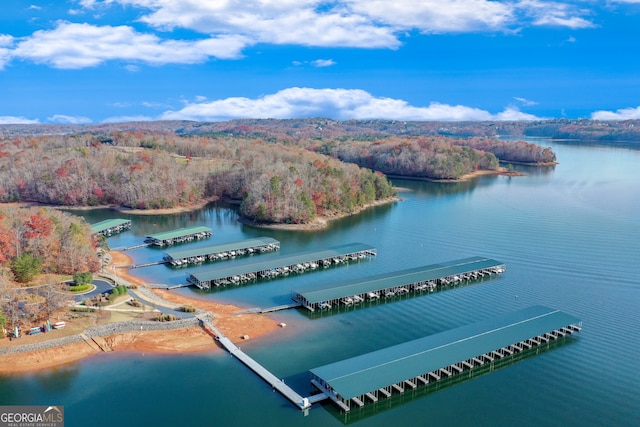 drone / aerial view featuring a water view and a forest view