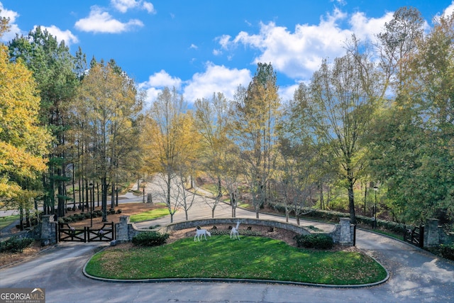view of community featuring a gate and a lawn
