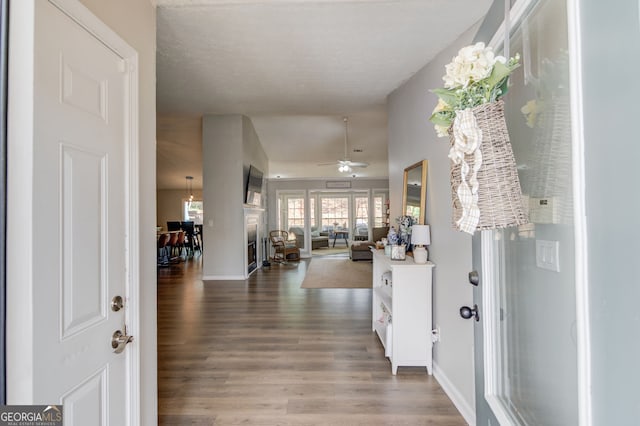 foyer with wood finished floors, baseboards, and ceiling fan