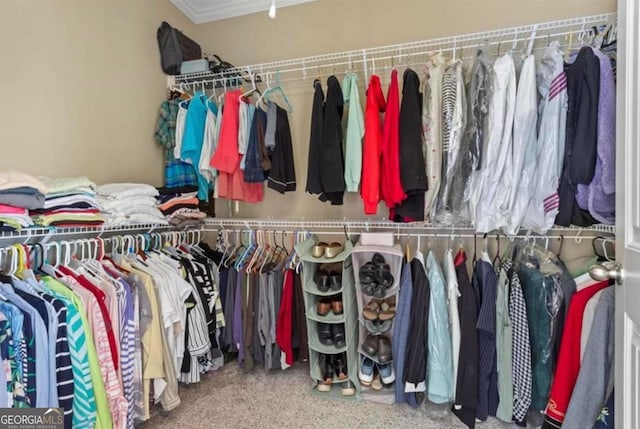 108 Summer Breeze Ln, Canton, GA 30114 - spacious closet with carpet floors