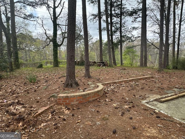 3025 Mckenzie Rd, Atlanta, GA 30344 - view of yard