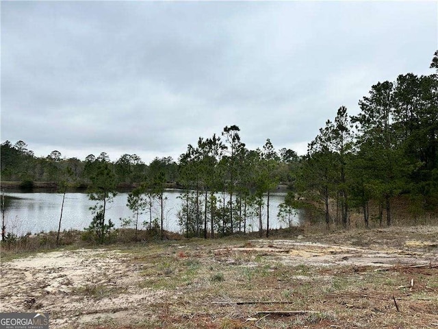 water view featuring a forest view