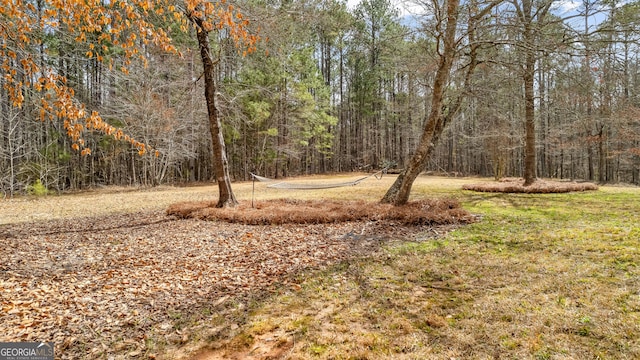 1452 Redwine Rd, Fayetteville, GA 30215 - view of grassy yard featuring a wooded view