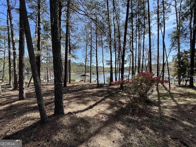view of yard with a water view