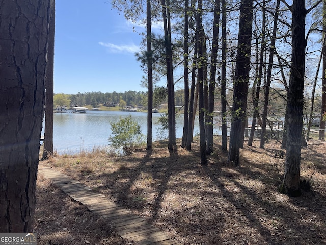 view of water feature with a forest view