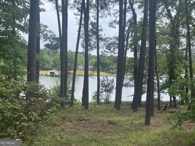 property view of water